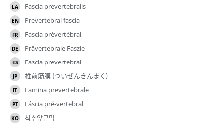 Translations
