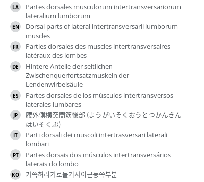 Translations