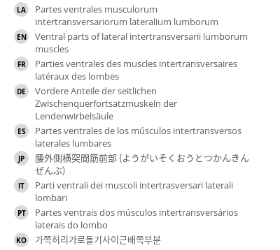 Translations