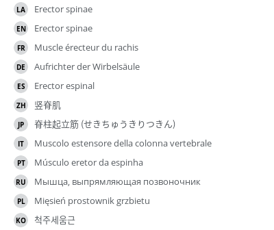 Translations