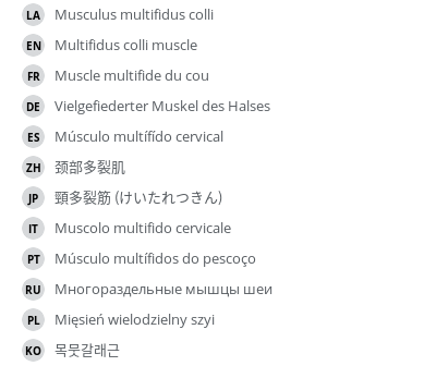 Translations