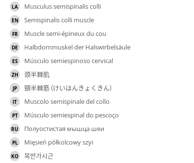 Translations
