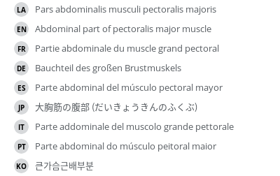 Translations