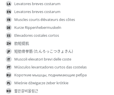 Translations