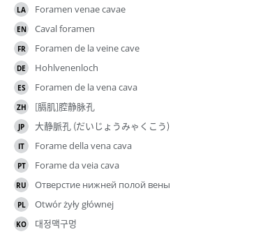 Translations