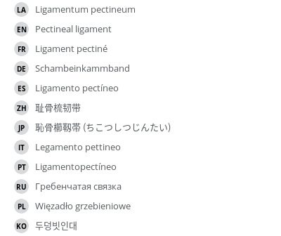 Translations
