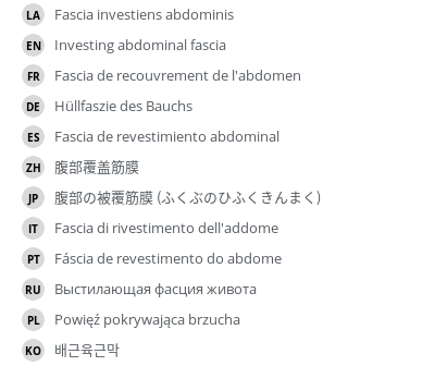 Translations