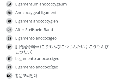 Translations