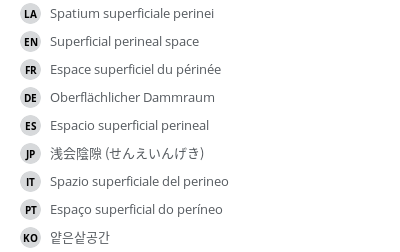 Translations