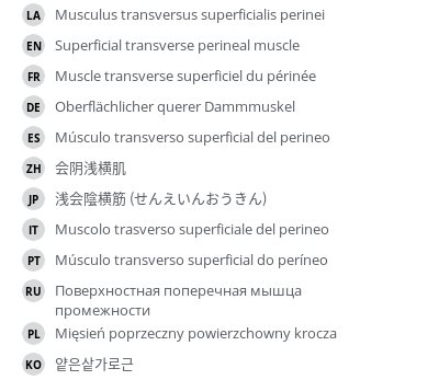 Translations