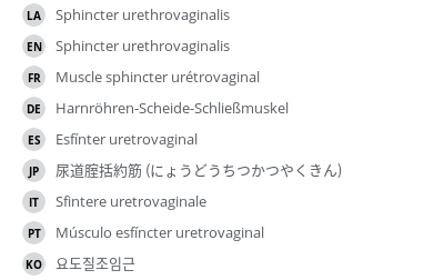 Translations