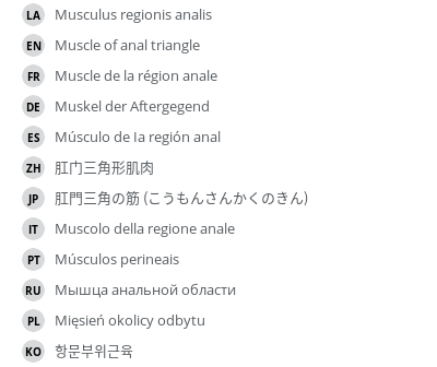 Translations
