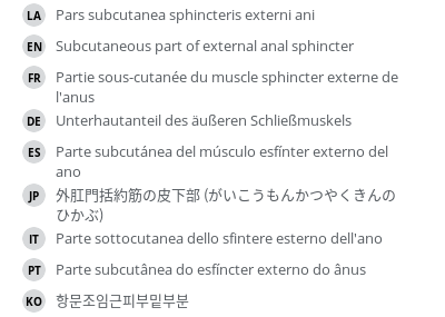 Translations