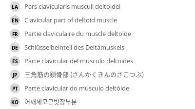 Translations