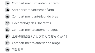 Translations