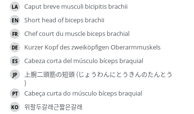 Translations