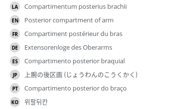 Translations