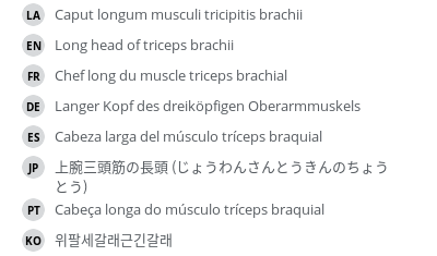 Translations