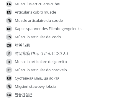 Translations