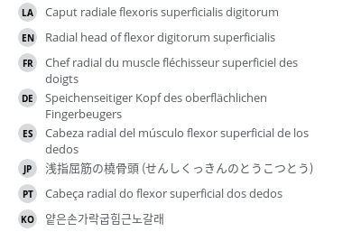 Translations