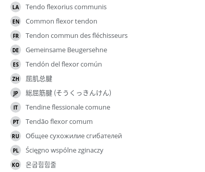 Translations