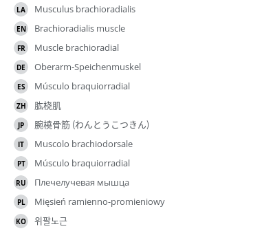 Translations