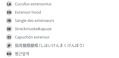 Translations