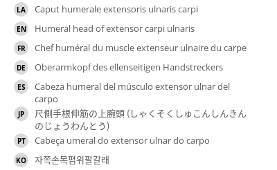 Translations