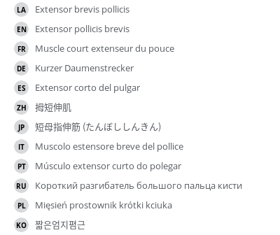 Translations