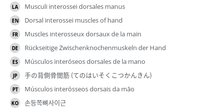 Translations