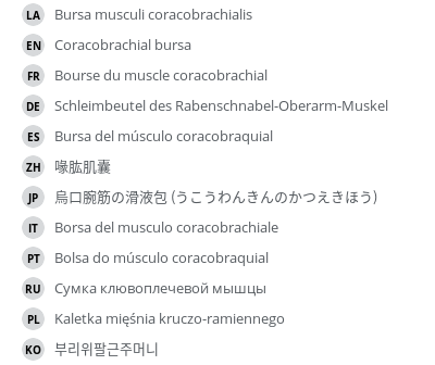 Translations