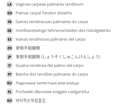 Translations