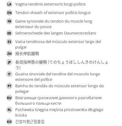 Translations