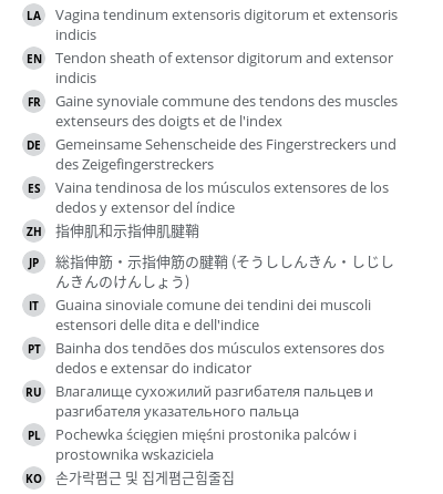 Translations