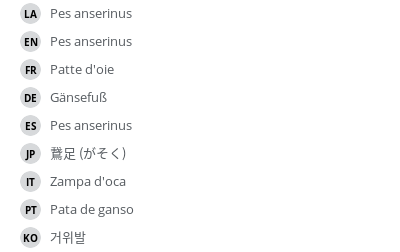 Translations
