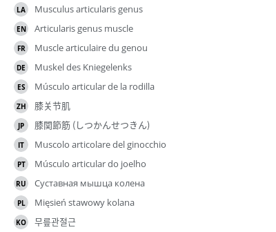 Translations