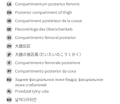 Translations