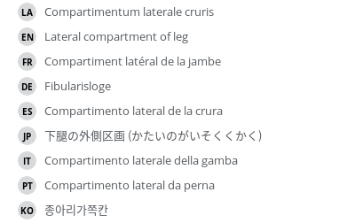 Translations