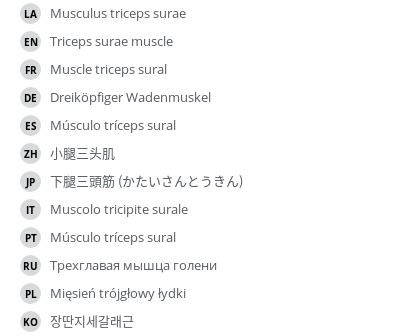 Translations