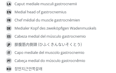 Translations