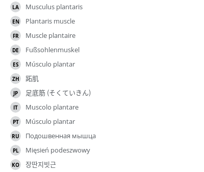 Translations