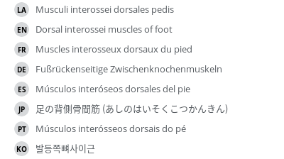 Translations