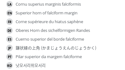 Translations