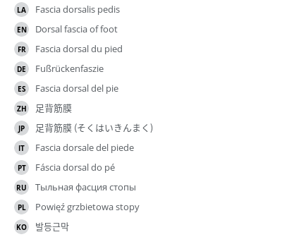 Translations