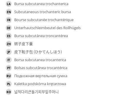 Translations