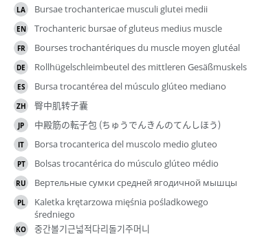 Translations