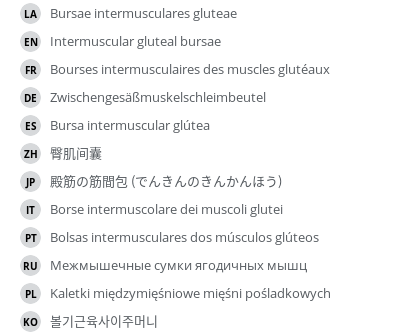 Translations