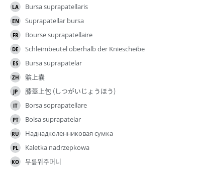Translations