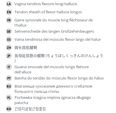 Translations