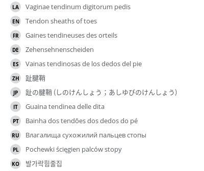 Translations